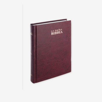 Bible Italian, Bibbia Nuova Diodati